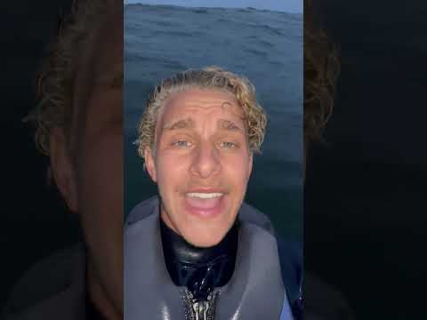 Living in the ocean!