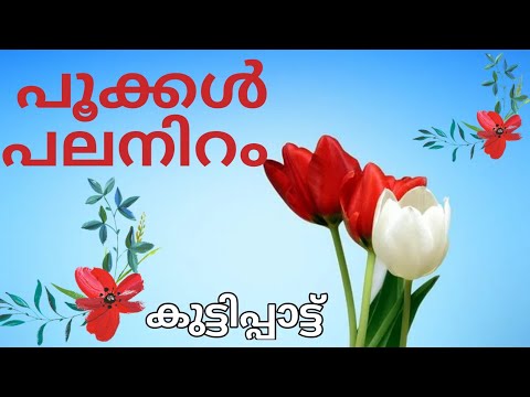 Kilikonjal victers today kilikkonchal KITEVICTERS anganwadi song Kilikonjal song നിറങ്ങൾ#പൂക്കൾ