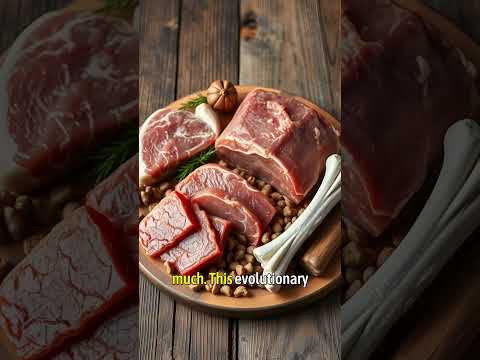 🐕 Canine Taste Buds: Why Dogs Prefer Meat Over Veggies 🍖 #DogFacts #CanineBiology #PetTrivia