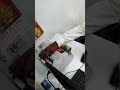 MT 15 BIKE Delivery Status Video Short Video Shorts Status Instareels Biker Lover Youtube