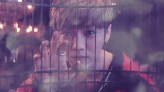 Download lagu LuHan鹿晗 Winter Song微白城市   Teaser mp3