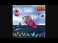 Electric Eels - As If I Cared