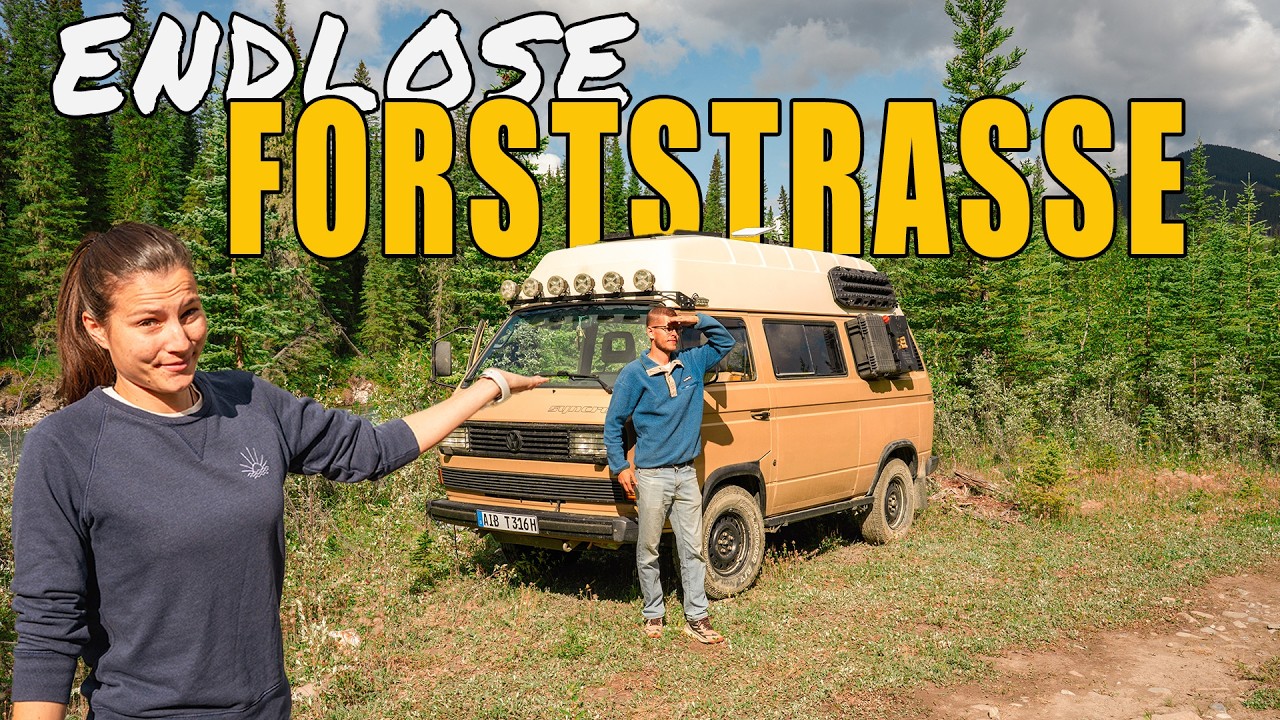 Mit dem T3 Syncro 300km Offroad entlang der Rocky Mountains in Kanada | Forestry Trunk Road #65