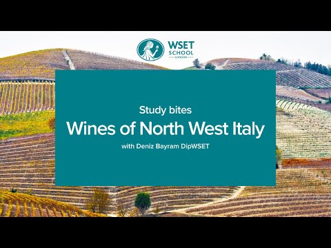 Study bites: wines of North West Italy (WSET Level 3 wine)