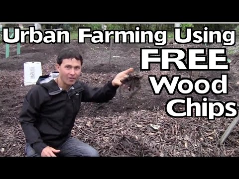 Urban Farming Using Wood Chips to Create the Best Organic Fertilizer