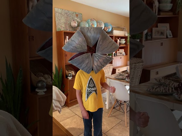 Vídeo relacionado con Sombrero de Halloween para perro, disfraz de Demogorgon, gato, perro, sombrero de Halloween, extraño, bricolaje, demodog, cosplay, sombrero lindo ceepdoogle