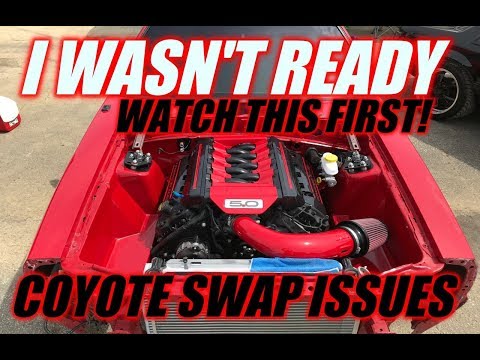 I wasn't ready *WHAT YOU SHOULD KNOW BEFORE THE COYOTE SWAP*