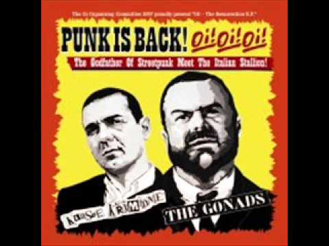 The Gonads - Punk City Rockers