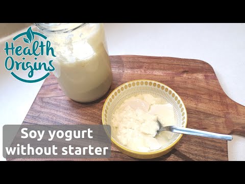 Soy Yogurt WITHOUT Starter
