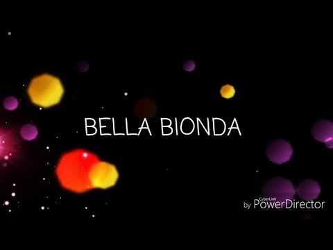 Francesco DAleo feat Daniele de Martino - Bella Bionda testo