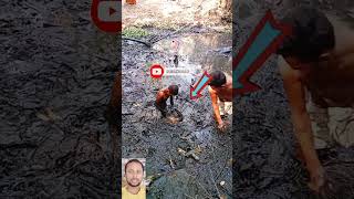 Download lagu kado mein machhali #fish #kado #trending #youtube #facebook #shorts #instagram #sawan #fishing #fb mp3 Download lagu kado mein machhali #fish #kado #trending #youtube #facebook #shorts #instagram #sawan #fishing #fb mp3