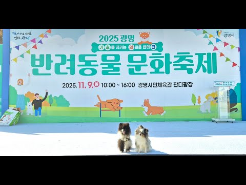 (2025 광명반려동물문화축제)  루루&amp;갈구  장기자랑 1등 , 어질리티 2위