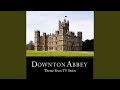 Downton Abbey (Tv Version) "Did I Make the Most ...