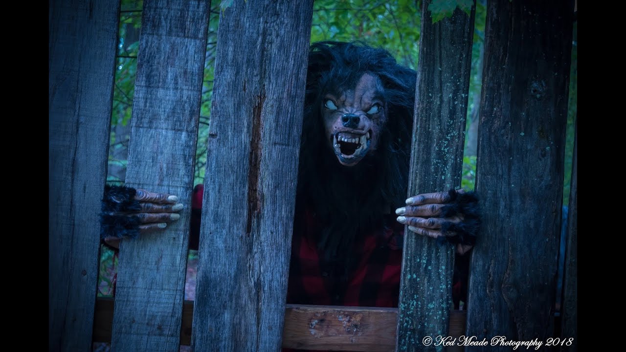 A CAÇADA AO LOBISOMEM.