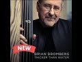 Brian Bromberg -  Your Eyes