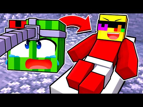 Sunny - Our HEADS Got SWAPPED In Minecraft!