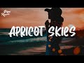 Nova Miller & Bankrol Hayden - Apricot skies (Lyrics)