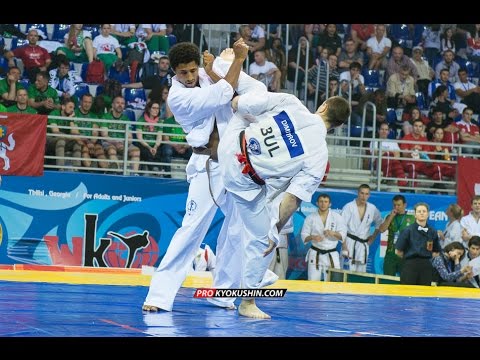 WKO EC 2016, 1/4 +85 Valeri Dimitrov (Bulgaria, aka) - Jean-paul Jacquot (France)