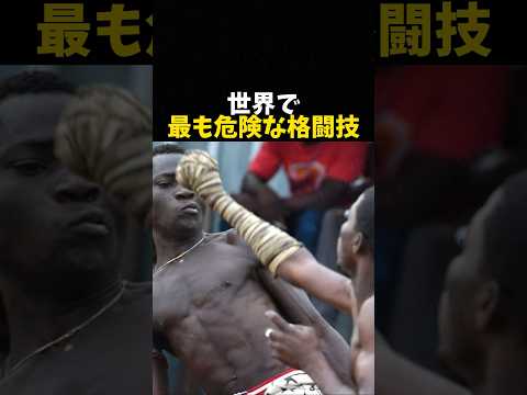 世界で最も危険な格闘技 #格闘技 #ボクシング #ufc #mma #boxing