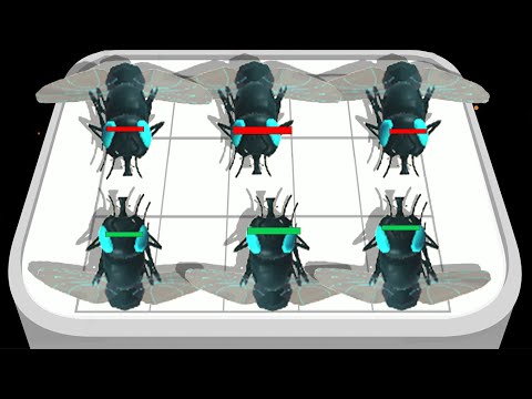 Insect Ant FIghting -  MODED Merge Games -  Gameplay (42)
