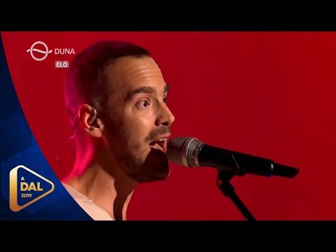 Petruska: Help Me Out of Here (A Dal 2019 harmadik válogató)