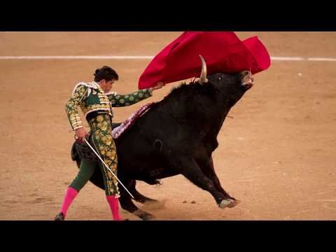 "The Brave Matador" by Pietro Frosini - performed by Leo Aquino