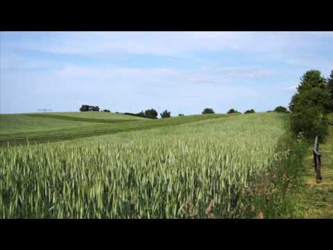 Mike Kilian - LASS UNS LEBEN - Offizielles Video