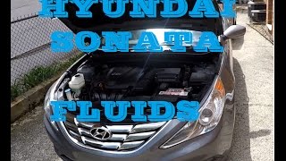 How to Check your Hyundai Sonata Fluids 2011 and up