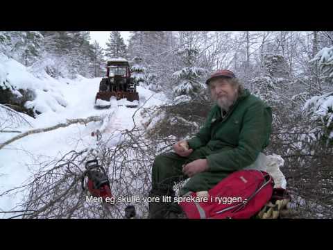 SØSKEN TIL EVIG TID_Jul i skogen