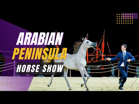 Arabian Peninsula Horse Show 2022
