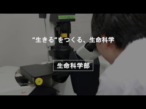 生命科学部