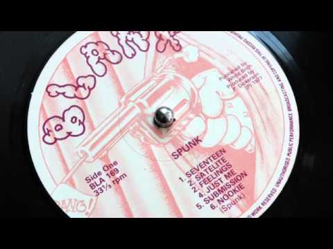 Sex Pistols - Nookie (Blank Records 1976)