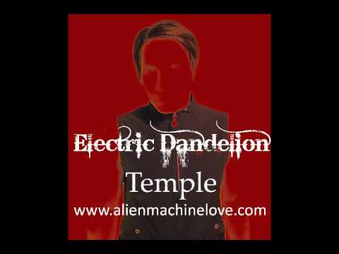 Electric Dandelion - Temple