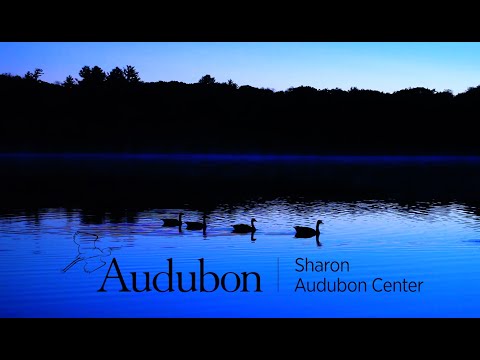 Jonathan Doster Photography video.