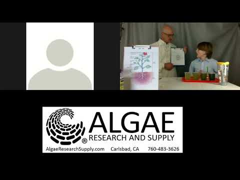 Basic Algae Culture Class for Nannochloropsis