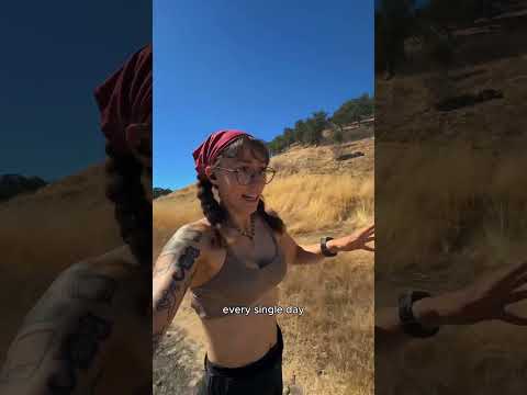 the challenge has begun!