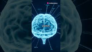 Download lagu 5 Fakta Otak Manusia yang Mungkin Belum Kamu Tahu 🧠✨ #didyouknow #edukatif #fyp mp3