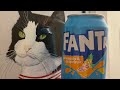 Fanta Pineapple Grapefruit