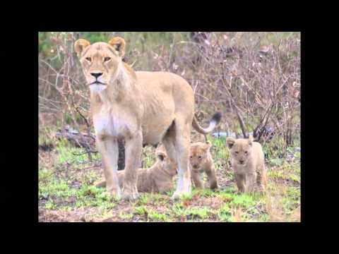 Eye See Africa - Namibia - Talago Family