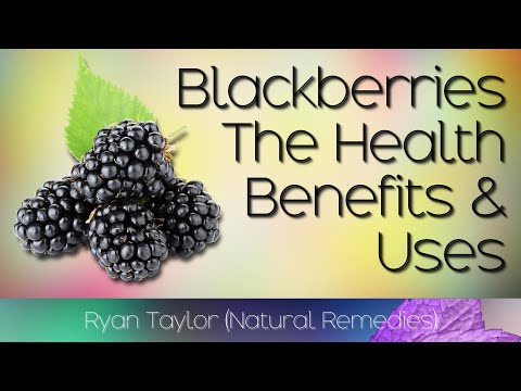 Blackberries: Benefits and Uses