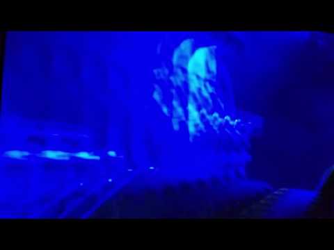 A Tear For Eddie - Ween @ Lockn' (8/25/16)