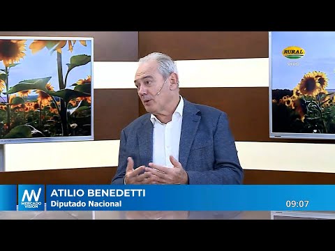 Atilio Benedetti - Diputado Nacional