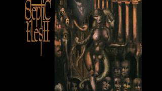 𝕾𝖊𝖕𝖙𝖎𝖈 𝕱𝖑𝖊𝖘𝖍 - 𝕴𝖈𝖊 𝕮𝖆𝖘𝖙𝖑𝖊 (𝟏𝟗𝟗𝟓)