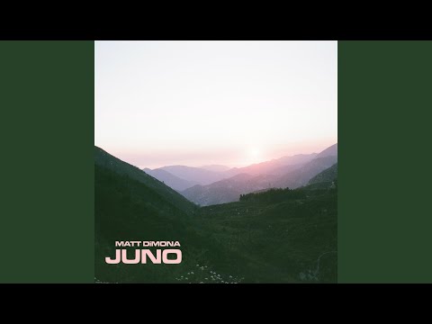 the beauty of it all