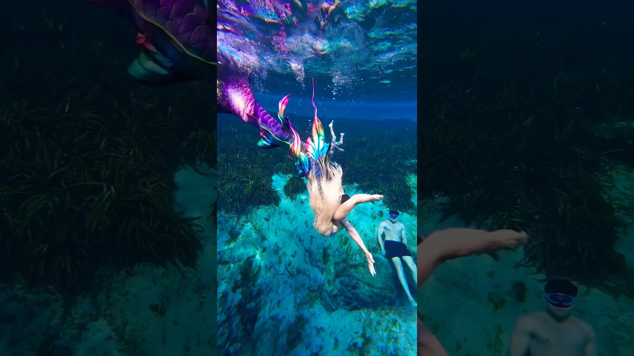 Promotional video thumbnail 3 for The Mermaid Arista