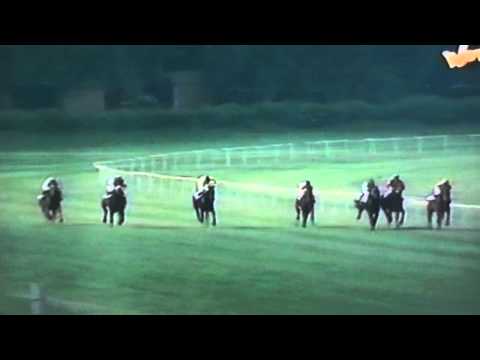 Nagroda Soliny - 10.06.1995 - Becky Princess (Prince Sabo - Becky Sharp)