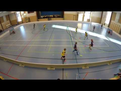 PoNoVo Keltainen - TaiKi maalikooste 11.2.2017