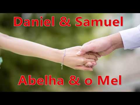 Abelha E O Mel video