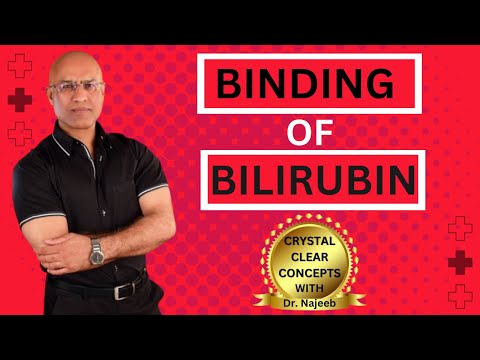 Bilirubin | Conjugated bilirubin | Unconjugated bilirubin