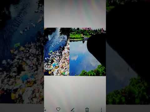 Env 5